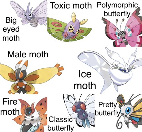hermit moth pokemon|Checkout .